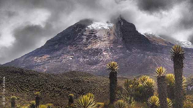 Les paysages majestueux de Colombie à découvrir lors de vos randonnées pédestres dans le Parc National de Los Nevados