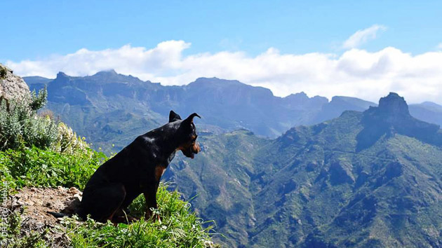 une palette de paysages variés sillonnent votre circuit trek en liberté sur l'île de Gran Canaria