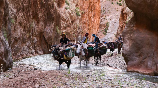 Séjour randonnée trekking dans le Haut Atlas au Maroc