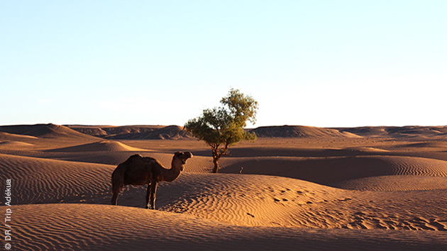 Trek dans le désert du Sud Maroc