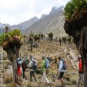 Avis séjour trekking en Tanzanie sur le Kilimandjaro