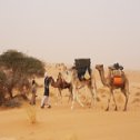 Avis séjour randonnée trekking en Mauritanie