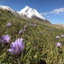 Avis séjour trekking au Ladakh