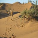 Avis séjour randonnée trekking au Maroc