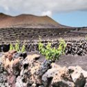 Avis séjour trekking à Lanzarote aux Canaries