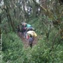 Avis séjour trekking en Tanzanie