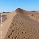 mon trek dans le désert du maroc avec Trek Adekua