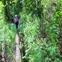 Avis séjour trekking au Sri-Lanka