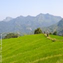 Avis séjour trekking au Sri Lanka