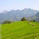 Avis séjour trekking au Sri Lanka