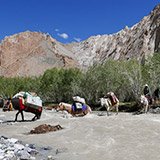 Commentaire de Steve sur son trekking au Ladakh avec Dorjey et Trip Adékua
