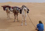 Avis séjour trekking en Tunisie