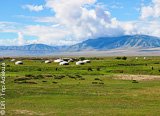 Avis séjour trekking en Mongolie