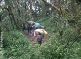 Avis séjour randonnée trekking en Tanzanie