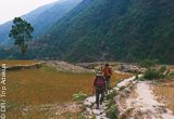 Avis séjour randonnée trekking au Népal