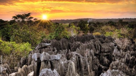 découverte à pied de la faune et de la flore de Madagascar