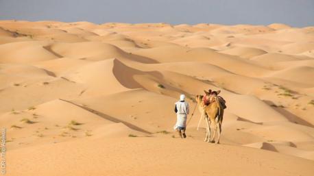 Rencontre avec des nomades et caravanes chamelières, pendant ce trek en Mauritanie