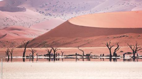 Paysages de rêves, camaieu d'ocres dans le désert pour ce circuit trek dans le Damarland (Namibie)