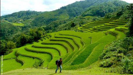 Rizières en terrasse, fermes sur pilotis, et rencontres de populations locales : un circuit trek de toute beauté au Vietnam
