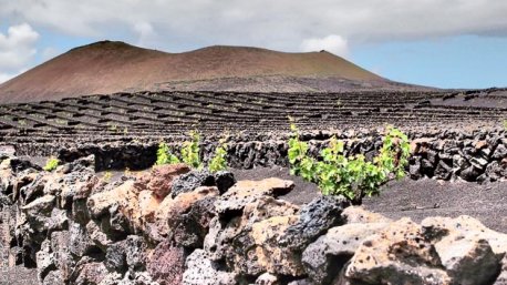 Volcans, plages, lagune... des paysages de rêves pour ce séjour trekking à Lanzarote