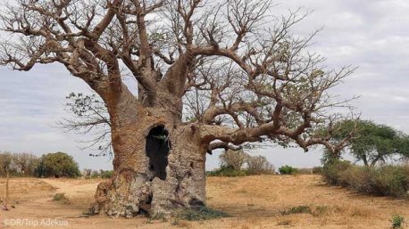 Des vacances au Sénégal entre trek et découverte des populations