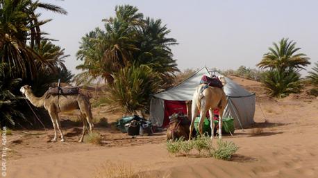 Bivouac dans les dunes du sud marocain, en randonnées trek, en passant par la vallée du Draa et la palmeraie d'Amezrou