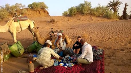 Campement avec les dromadaires, lors du trek, à la découverte des oasis de Dyabi et Tifkast