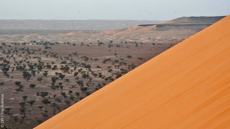 Trek inoubliable dans le désert mauritanien