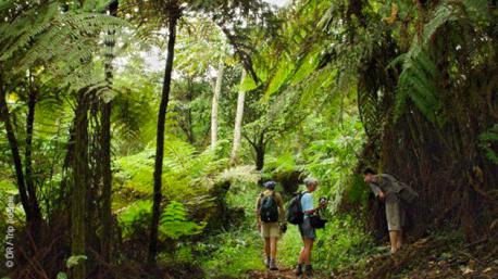 Un circuit trekking au Cameroun dans la forêt équatoriale à la rencontre des Pygmées bakas