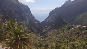Avis vacances trekking sur l'île de Tenerife aux Canaries