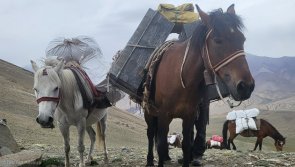 Avis Randonnée trekking avec caravane au Ladakh