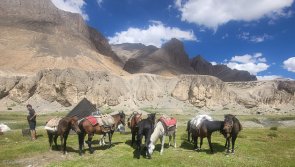 Avis trek et découverte du Ladakh en famille