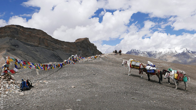 Découvrez les sentiers pédestres du Ladakh pour lors de ce circtui trekking avec bivouac