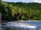 La Dominique : une île d’histoire et de nature en pleine mer des Caraïbes - voyages adékua