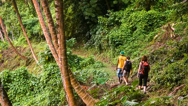 Randonnées découverte des paysages variés de Dominique