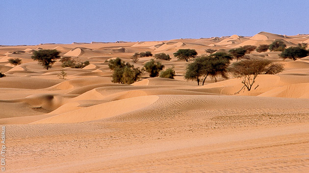 Trek en Mauritanie avec un guide français expert de la destination