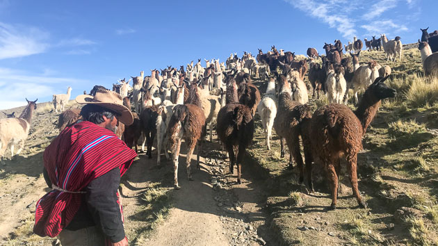 Découvrez la Bolivie pendant votre trek dans les Andes