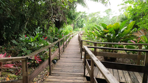 Hébergement tout confort pour votre séjour trek au Belize