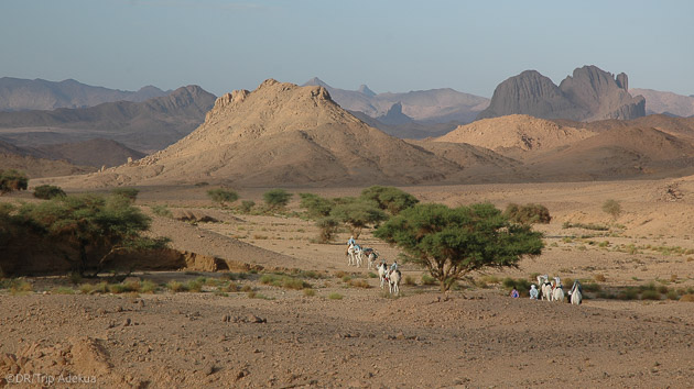 Trek inoubliable pour découvrir le Hoggar en Algérie