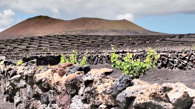 Volcans, plages, lagune... des paysages de rêves pour ce séjour trekking à Lanzarote
