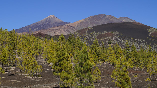 Votre séjour randonnée en liberté sur l'île de Tenerife aux Canaries