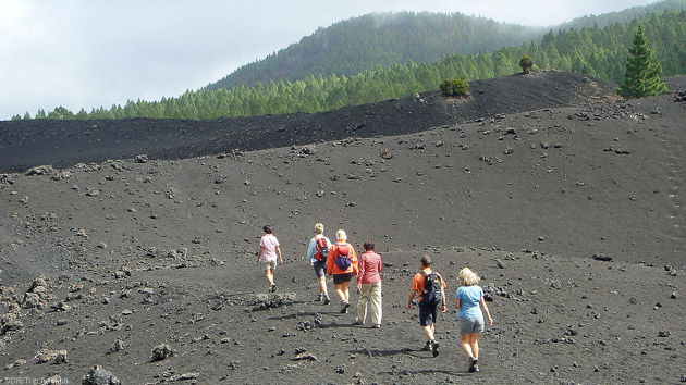 Découvrez les plus beaux sentiers de randonnées de Tenerife