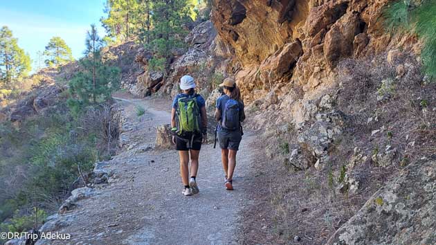 Randonnez sur les plus beaux sentiers de Tenerife