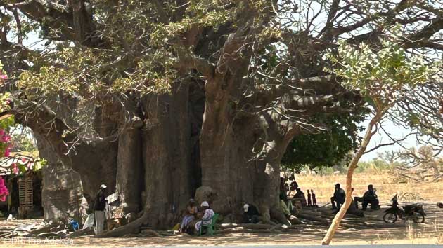 Trek à la découverte du Sénégal