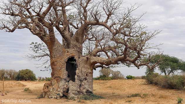 Des vacances au Sénégal entre trek et découverte des populations