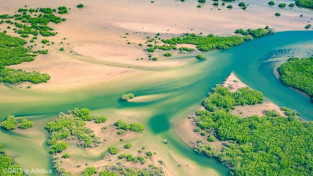 Découvrez la régio du Sine-Saloum au Sénégal