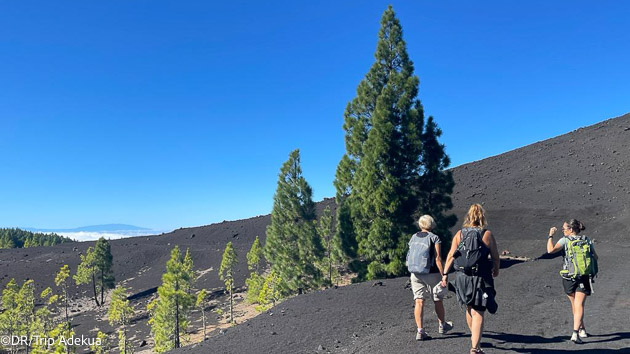 Séjour plongée aux Canaries entre Tenerife et La Gomera