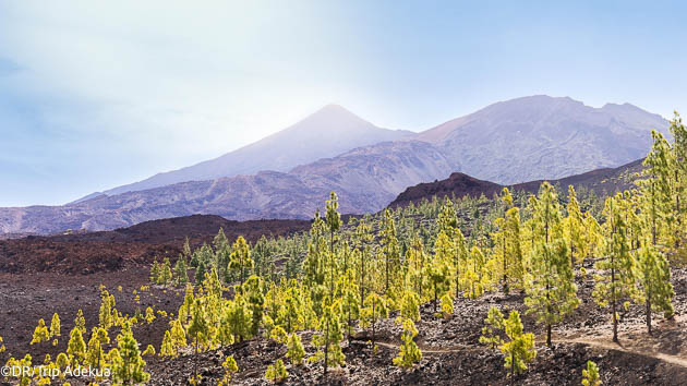 Trek en liberté sur les îles de Tenerife et La Gomera aux Canaries