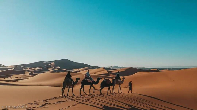 Randonnée chamelière dans les dunes du Sahara au Maroc