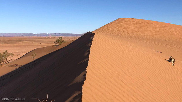 Explorez les dunes du Maroc pendant votre trek